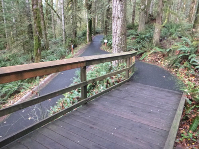 Salmon River boardwalk – railing on one side and wood edge protection on the other – transition to paved trail